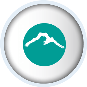 Partner logo