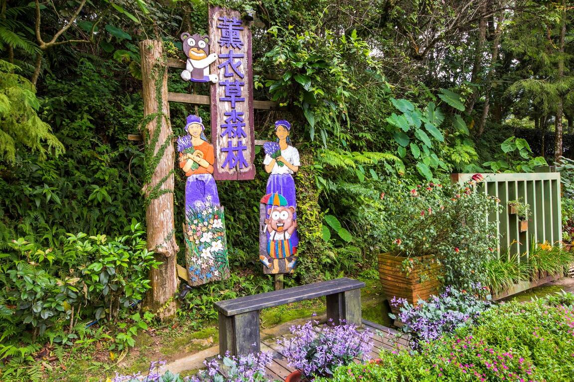 Lavender Forest | Taichung's Most Healing Mountain Forest Secret Paradise × Herbs × Bird Songs × The Taste of Wind's 1st image