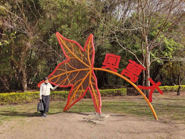 Aowanda National Forest Recreation Area | Taiwan's Maple Avenue × A Maple Viewing Paradise That Takes You to Canada in One Second's 1st image
