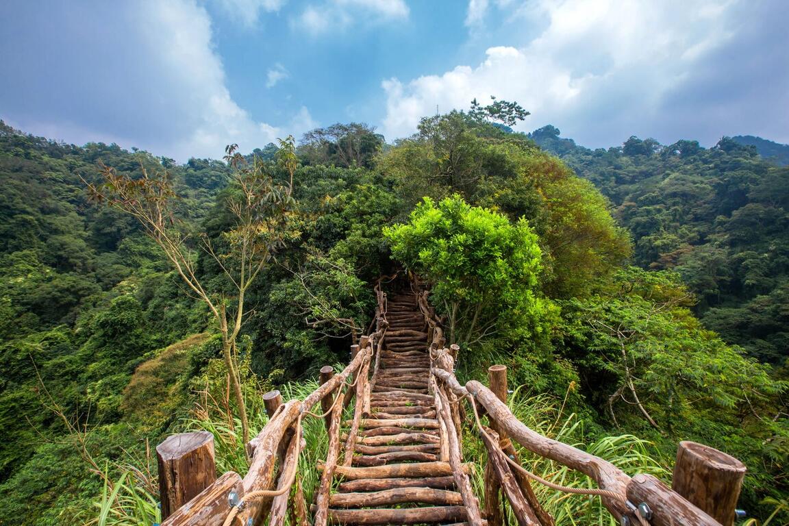 大坑風景區｜登山步道x泡湯一日遊的第1張圖片