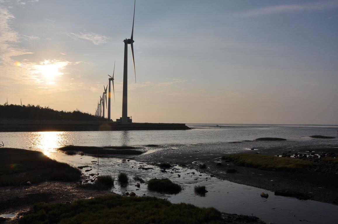 高美濕地｜夕陽與候鳥齊飛的濕地奇景 × 包車輕鬆一日遊的第1張圖片