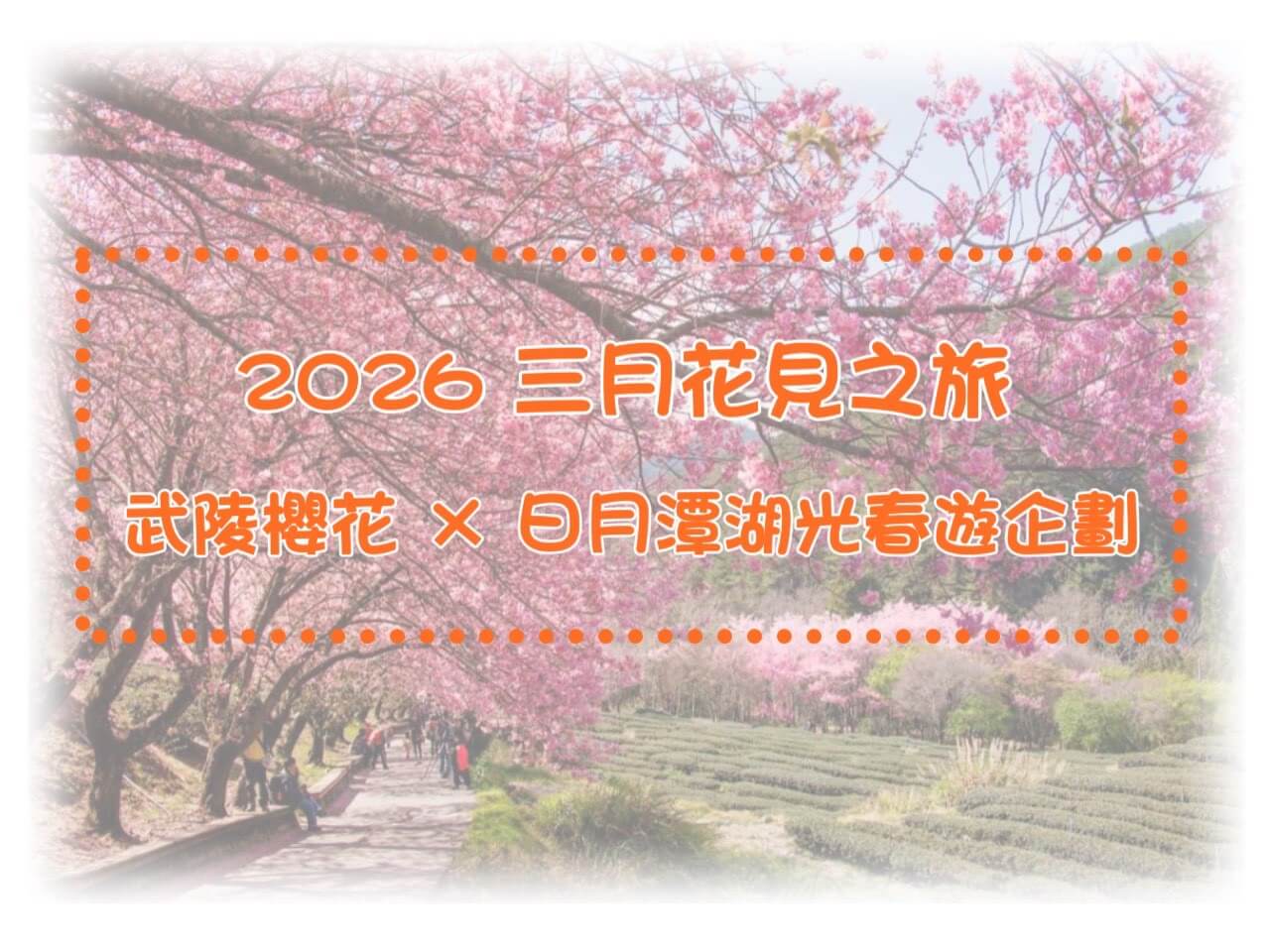今悅包車，暢遊旅行的優惠快報圖片